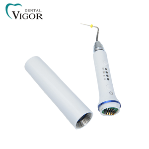 Dental Endodontic Gutta Percha Obturation <b>Pen</b> 2 Baterry 4 Tips Dental Obturation Endo Heated <b>Pen</b> - Product Image 5