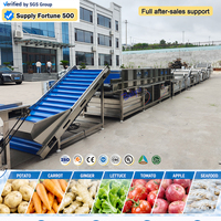 Baiyu Automatische Fruit- en Groentewasmachine voor de verwerking van sojabonen, maïs, noten, tarwe en bladgroenten