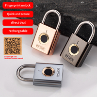 Serrure intelligente à empreintes digitales en alliage de zinc étanche IP56, capacité de 20 empreintes digitales, batterie au lithium 3,7 V, adaptateur Type-C, cadenas
