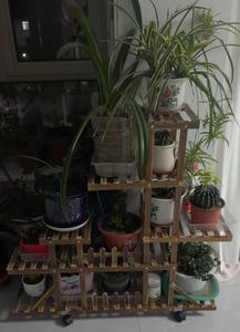 Vente en gros personnalisation Pot de fleur support étagère plusieurs étagères présentoir plante en bois support escalier jardin - Product Image 6