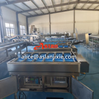 Automatische bandweegschaal met lineaire combinatie/ RVS multi-station combinatieweegschaal  Voedsel kwantitatieve weegmachine