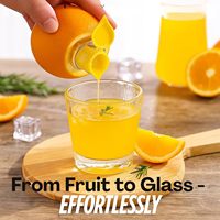Presse-citron manuel, extracteur de jus d'agrumes, presse-agrumes portable à vis pour oranges et citrons