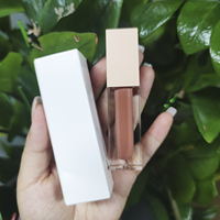 Vente en gros de cosmétiques : Rouge à lèvres, Teinture liquide pour les lèvres, Huile repulpante teintée pour les lèvres, Gloss à lèvres minéral waterproof, Maquillage, avec option de marque privée et logo