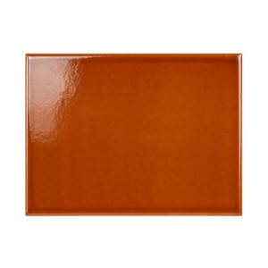 Piastrella per Battiscopa in Terracotta 15 x 20 cm, Spessore 6 mm, Lucida con Bordi Rettificati per Patio - Product Image 5
