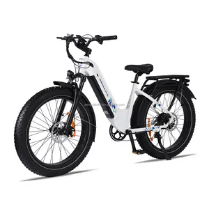 Local Warehouse Fatbike US Magazijn Mountain Electrically Fatbike V20 E-Bike Bicycle Fat Tire Ebike Cheap Electric Bikes