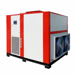 Large Capacity Customized Heat Pump Vegetable Cassava Pumpkin Powder Processing Making Dryer Drying Room