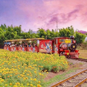 <span class=keywords><strong>Train</strong></span> <span class=keywords><strong>touristique</strong></span> à <span class=keywords><strong>prix</strong></span> abordable de Chine : <span class=keywords><strong>Petit</strong></span> <span class=keywords><strong>train</strong></span> de tourisme sur rails pour la vente, idéal pour les excursions. - Product Image 1