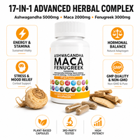 Capsules de complexe vitalité Maca Oyster OEM prêtes à être expédiées, capsules Maca Plus, soutien énergétique et d'endurance pour hommes, complément pour adultes