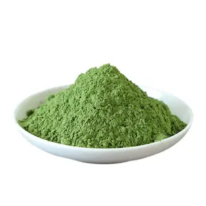 Bán buôn Chất lượng cao trà xanh bột cao cấp Nhật Bản cho Hữu Cơ Matcha