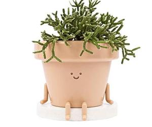 <span class=keywords><strong>Pot</strong></span> <span class=keywords><strong>de</strong></span> plantes d'intérieur <span class=keywords><strong>assis</strong></span>, <span class=keywords><strong>Pot</strong></span> <span class=keywords><strong>de</strong></span> fleurs en plastique Unique et mignon avec visage, jardinière cadeau succulente/Cactus <span class=keywords><strong>de</strong></span> 3.5 pouces avec trou <span class=keywords><strong>de</strong></span> Drainage - Product Image 1