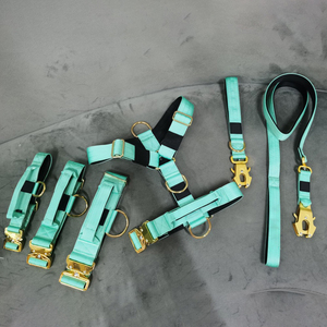 Chaleco personalizado para perro, arnés y collar táctico para entrenamiento de caza con correa larga y corta - Product Image 6