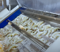 Bande transporteuse en maille métallique de qualité alimentaire pour lignes de production de surgélation et de lavage rapides des produits aquatiques et des fruits de mer