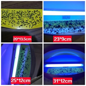 แผ่นกาวดักแมลงแบบ UV Fly Light หลายขนาด แผ่นกาวดักแมลงแบบเปลี่ยนได้ กาวเหนียวแน่น สำหรับการควบคุมศัตรูพืชเชิงพาณิชย์ - Product Image 6