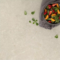 Recommander des carreaux de sol rustiques en céramique émaillée mate 600*600mm pour la décoration murale intérieure de la salle de bain
