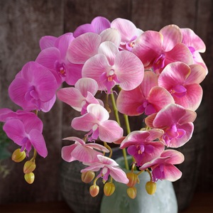 Orquídea Phalaenopsis Artificial CallaFloral, Bonsái de PVC en Blanco Lechoso, Rosa Claro y Morado Oscuro, Decoración para Interiores del Hogar - Product Image 1