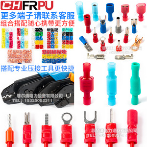 Chfrpu Lug <b>Terminals</b> C45-1.5/2.5/4/6/10 Pure Copper Insulated For Dz47 Circuit Breaker Wiring - Product Image 4