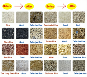Farbsortierer für Bohnen, Samen, Chili-Samen - Effiziente Sortierung für Verschiedene Nüsse und Samen Reis-Farbsortiermaschine - Product Image 3