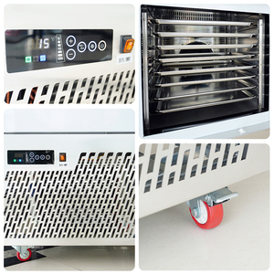 PROSKY SUS201/304, congelador instantáneo de alimentos, 15 16 bandejas, enfriador rápido, congelador de choque de chorro de aire, enfriador para camarones - Product Image 4