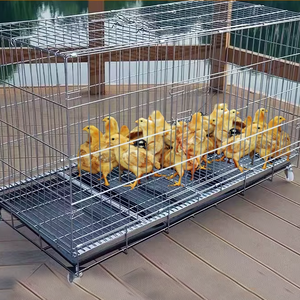 Kanatlı Çiftliklerinde Kullanılan Galvanizli Tavuk Kafesleri, Yumurtacı Tavuk Kafesi, Tavuk Yuvalama Kafesi - Product Image 1