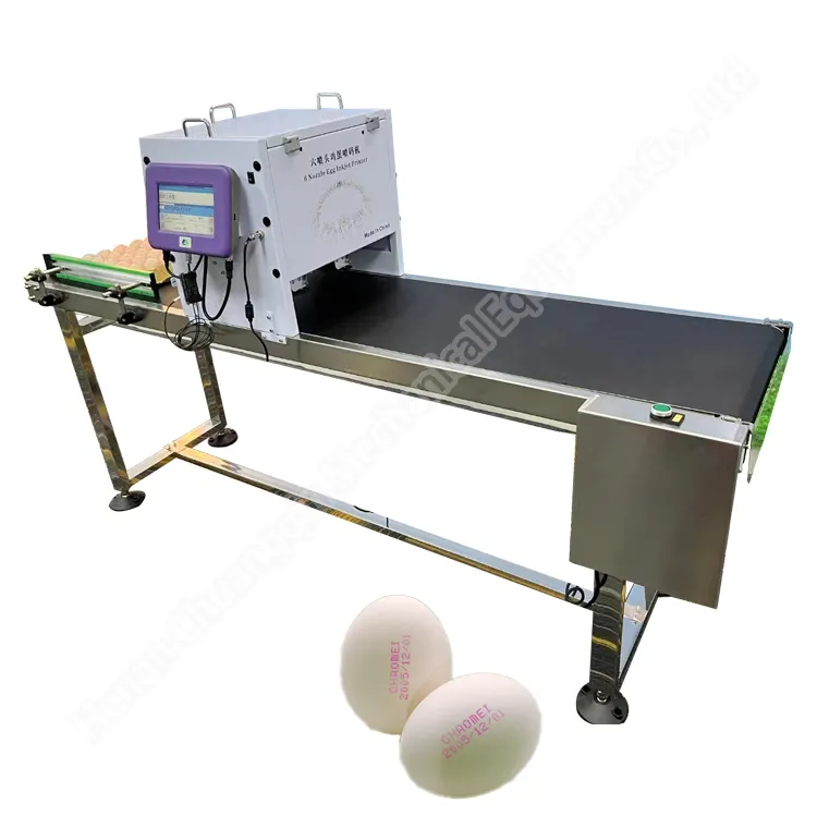 Multifunctional egg tray pad printing machine with low price