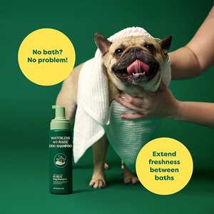GMP OEM Shampooing et après-shampoing sec sans eau pour chien Lavage pratique sans rinçage pour le nettoyage de voyage Conditionnement et démêlage - Product Image 2