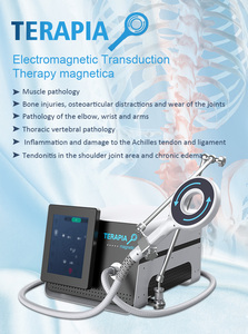 Dispositivo de Terapia de Transducción Electromagnética Indoloro y No Invasivo para el Alivio del Dolor, de Escritorio, Metálico, Ecológico, con Certificación CE, 3 en 1 - Product Image 2