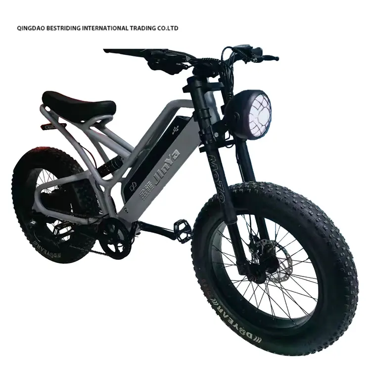 새로운 스타일 전기 자전거 48v 500w 모터 Ebike 2 휠 20 인치 지방 타이어 전기 자전거