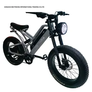 Nuovo stile bici elettrica 48v 500w motore Ebike 2 ruote 20 pollici grasso pneumatico bicicletta elettrica