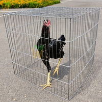 Cages de combat pour coqs 75*75*75cm & 100*100cm, en treillis métallique galvanisé enduit de PVC sur mesure, avec portes supérieures et latérales