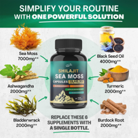 Gummies de Shilajit pour hommes, Tongkat Ali, algues marines, Shilajit de l'Himalaya, capsules d'Ashwagandha, gummies et capsules de Shilajit