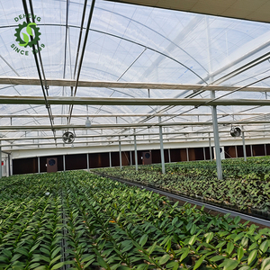 Los invernaderos agrícolas utilizan el último sistema resistente a los rayos UV <span class=keywords><strong>de</strong></span> película plástica <span class=keywords><strong>de</strong></span> invernadero para sistemas <span class=keywords><strong>de</strong></span> cultivo NFT Tubería <span class=keywords><strong>de</strong></span> PVC - Product Image 6