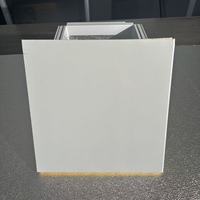 Panneau en mousse phénolique modifiée en acier coloré double face pour conduits CVC, conception OEM et sur mesure disponible avec support technique