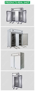 Macchina per Congelamento Rapido IQF di Carrube e Mango, Linea Industriale per Congelamento Impasti - Product Image 6