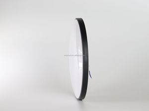 Tuya Wifi dual-chế độ RGB + WW + CW Vòng Trần Đèn AC220V 24W cuộc sống thông minh cho Alexa Google trợ lý mờ ảo ảnh Đèn - Product Image 6