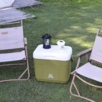 Glacière rigide isolée 22L pour pique-nique et camping en extérieur, pour aliments frais et glace