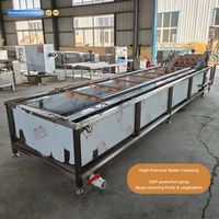 Automatische industriële luchtbelwasmachine voor fruit- en groenteverwerkingsfabrieken, roestvrijstalen wasmachine