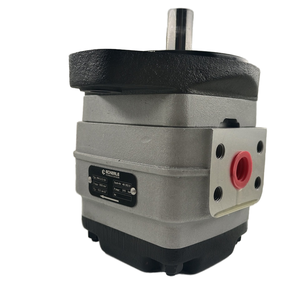 Pompe hydraulique à engrenages ECKERLE IPH3-13 101/EIPH3-014/50RK03-10/11 - Product Image 1