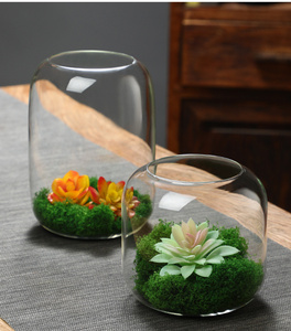 <span class=keywords><strong>Terrarium</strong></span> <span class=keywords><strong>en</strong></span> <span class=keywords><strong>verre</strong></span> transparent moderne et écologique à faire soi-même, <span class=keywords><strong>vase</strong></span> de table <span class=keywords><strong>pour</strong></span> micro-paysages, plantes succulentes et décoration <span class=keywords><strong>en</strong></span> mousse - Product Image 5