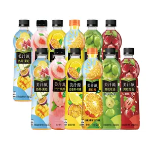 Jus de fruits boissons exotiques boissons boissons boissons non alcoolisées buvables en gros 420ml boissons à saveur fruitée multi-saveurs