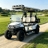 Voiturette de golf électrique 5 kW haute puissance, surélevée, avec couleur de carrosserie personnalisable et rangement supplémentaire multifonctionnel