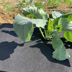 Estera de lana para malezas de jardín, cubierta de suelo PP, estera de bloque de malezas, tela de barrera de malezas, tela no tejida verde en agricultura - Product Image 4