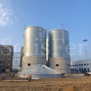 Silos de grano de acero galvanizado por inmersión en caliente Premium 100T-10000T Diseño de fondo plano para una fácil limpieza para uso agrícola Nuevos y usados - Product Image 2