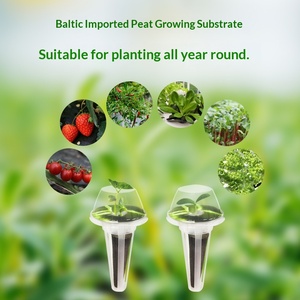 Voor hydrocultuur, bodemloze teelt, plantmachine, biochar-spons, alternatief voedingsmiddel, succulentenmodel MZ002 gemaakt - Product Image 2