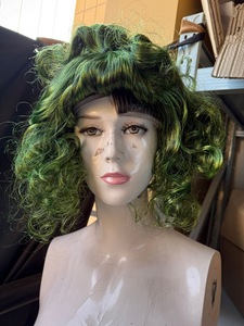 Kostum karakter film permen anak, kostum pekerja pabrik cokelat dengan Wig hijau kostum Halloween dewasa - Product Image 6
