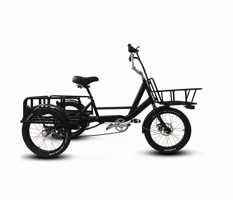 Hi Grade Three Wheel Electric Tricycle 650W Strong Power Large Load Capacity Tricycles 3 Wheel Cargo Bike Tricycle