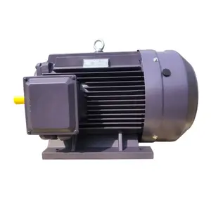 Motosiklet 3 fazlı 3kw 415v (3hp) yara-rotor 3 fazlı Ac sincap kafes 22kw sarma makinesi 1/3 Hp 60hp indüksiyon Motor sincap