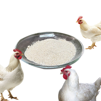 Additif alimentaire Booster pour poulets de chair Prémélange avec vitamines de croissance accrue pour animaux Additifs alimentaires pour améliorer la croissance