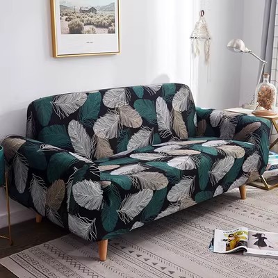 Plume de duvet