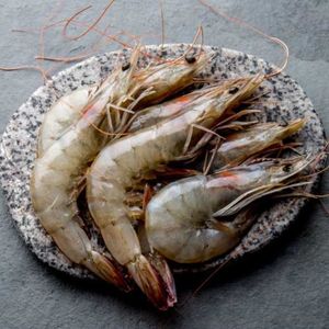 กุ้งลายเสือ HLSO ปอกเปลือกแช่แข็ง กุ้งลายเสือสดทั้งตัว กุ้งทะเล กุ้งป่า กุ้งขนาดใหญ่ อาหารทะเล - Product Image 4