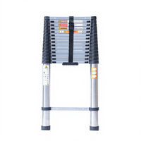 Échelle télescopique portable en acier inoxydable à 15 marches avec crochets, échafaudage isolé moderne et pliable pour la maison, l'extérieur, les escaliers et la salle de sport